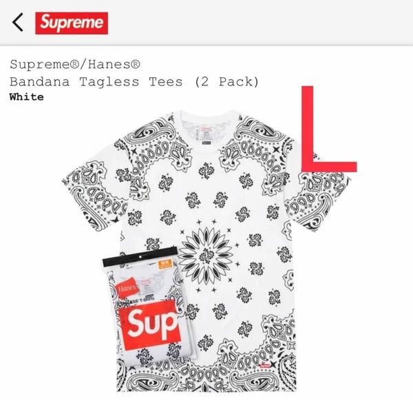Supreme Hanes Bandana Tagless Tee ヘインズ Tシャツ バンダナ