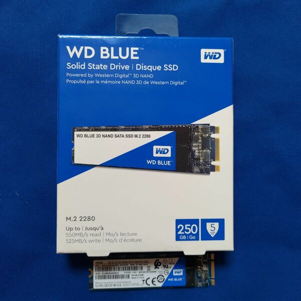 WD WDS250G2B0B 250GB/M.2/SATA