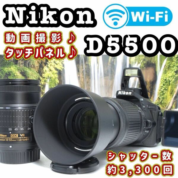 Nikon ニコン D5500 Wi-Fi搭載　新品同様のシャッター数　一眼レフ　 Nikon ニコン NIKKOR カメラ