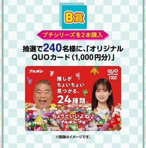 レシート懸賞★QUOカード1000円分が240名様に当たる！ブルボン プチシリーズ総選挙キャンペーン！応募レシート（7/31締切）