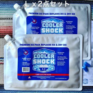 クーラーショックCOOLER SHOCK【Ｌｘ2点セット】−7.8度を長時間キープする氷点下保冷剤 アウトドア キャンプ BBQ 