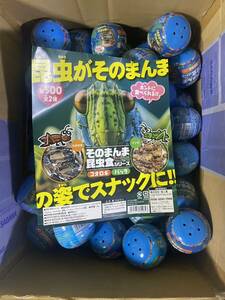 そのまんま昆虫食シリーズ　コオロギ　トノサマバッタ　約130個 多少前後します。　賞味期限6/22