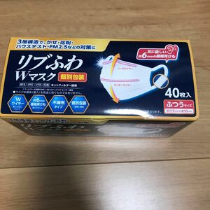 リブふわWマスク ふつうサイズ 個包装30枚入 不織布マスク