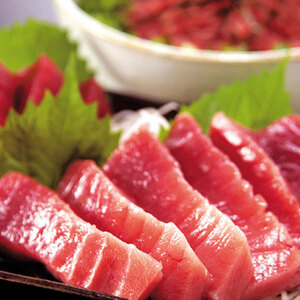 [ Bon Festival gift ] Shizuoka natural south ... lean middle .. sashimi { delivery period :6 month 17 day ~8 month 10 day }