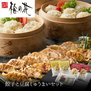 [ plum. flower ] gyoza . tofu ..... set 