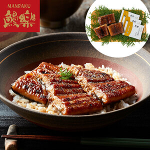 [ Bon Festival gift ] Miyazaki [ eel comfort ]..... cut .{ delivery period :6 month 17 day ~8 month 10 day }