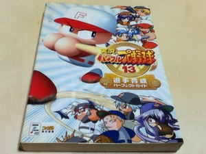 PS2攻略本 実況パワフルプロ野球13 選手育成パーフェクトガイド