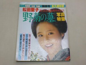 写真集　松田聖子　第1回主演映画完成記念「野菊の墓」写真特集　ヤング・アイドル・ナウ別冊号　永久保存版