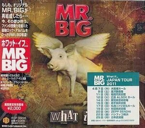 【国内盤CD】 MR.BIG／ホワットイフ…