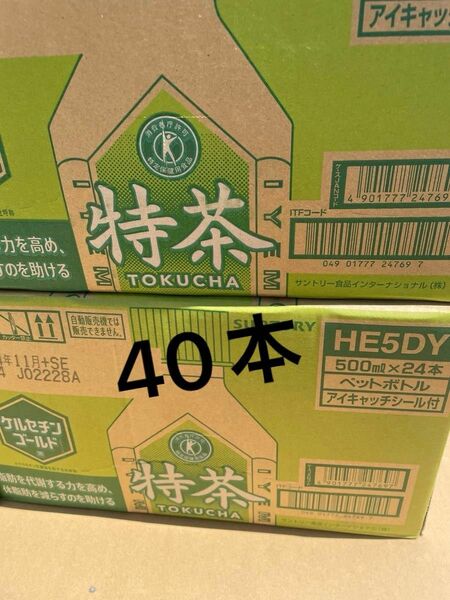 サントリー　特茶　500ml 40本