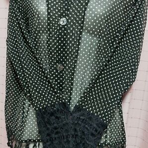 お洒落シャツ・ブラウス 長袖シアータイプ