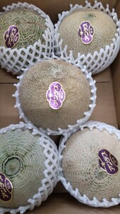  Anne tes melon Kumamoto production free shipping!