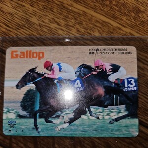 [Gallop] Toukaiteio иметь лошадь память победа QUO card 