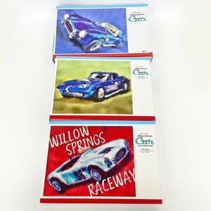 未開封 未組立 アメリカンスポーツカー 1/24スケール 3点セット GTM001/GTM002/GTM003 [C5705]