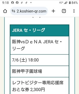 甲子園球場　7月6日阪神VS横浜　レフトビジター1枚