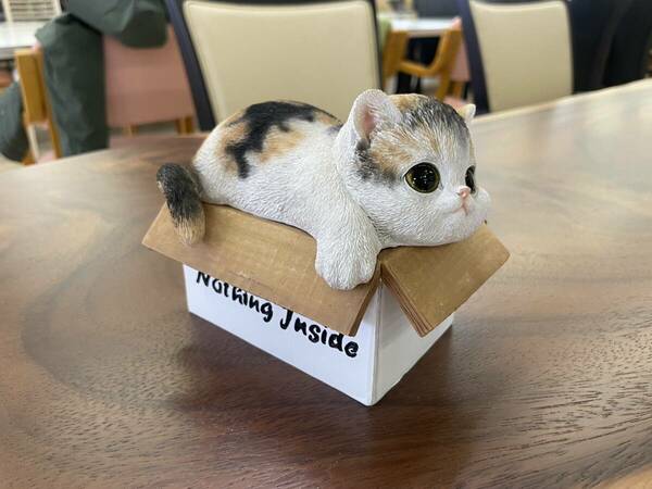 ネコの小物入れ　秘密の箱　キャット　置物　ネコ　ねこ　猫　小物入れ　宝箱　レジン　ポリレジン　屋内　屋外　庭　ガーデン　オブジェ