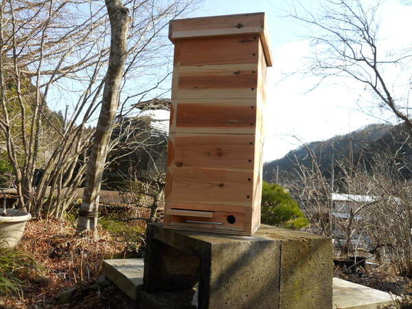 日本ミツバチ 重箱式5段待受箱 除し易くスムシ対策も！(巣箱の取説、捕獲のコツなどの参考資料付き)