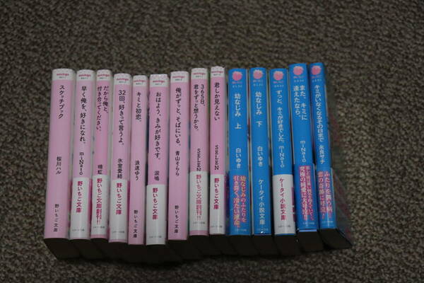 小説　野いちご文庫・ケータイ小説文庫　21冊セット　送料込み