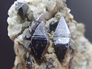 【Wな完全結晶】アナテース&クォーツ　鋭錐石&水晶　原石　標本