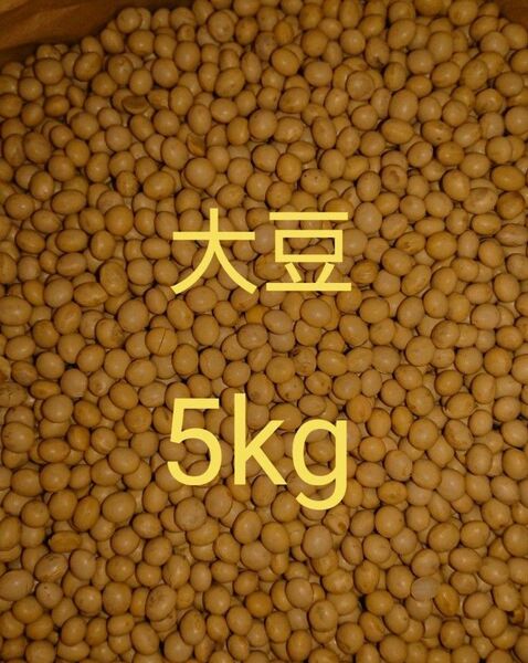 自家栽培 大豆 5kg 家庭用 味噌加工用