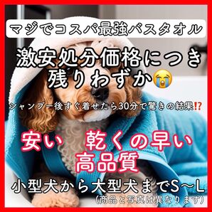 高級バスローブ バスタオル タオル ペット 犬 超吸収 Lサイズ 小型犬用