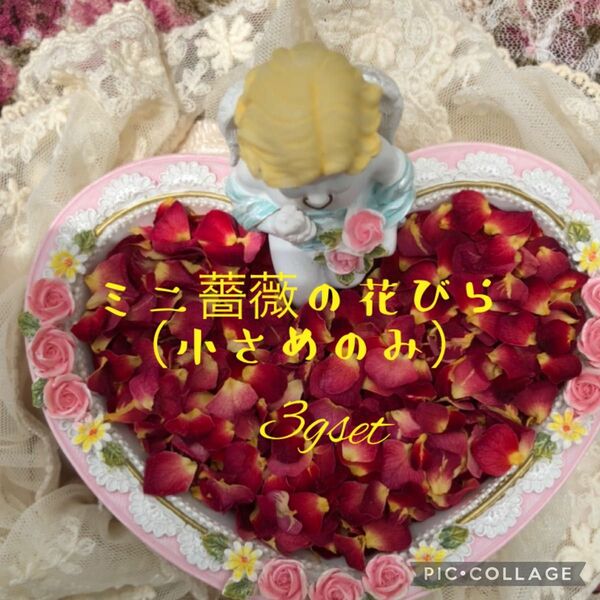 小さなミニ薔薇の花びら（小さめのみ）3gセット★ハンドメイド花材★キャンドル作りに★レジンアクセサリー等にも★ミニバラ花弁