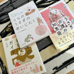 うさぎ　シニア　介護　　うさぎ介護の知恵袋　ウサギの看取りガイド　うちのうさぎの老いじたく