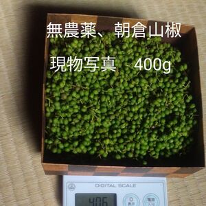 無農薬　朝倉山椒　400g