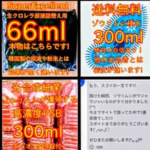 ★簡単培養ゾウリムシ300ml＋PSB300ml＋生クロレラ原液詰め替え用66ml★