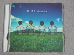 K37 フランプール /flumpool 強く儚く / Belief ～春を待つ君へ～ 帯付き [CD]