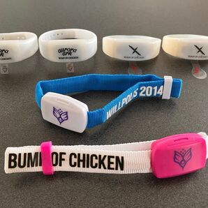 BUMP OF CHICKEN ライブ バンド