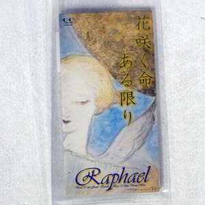 8cmCD RAPHAEL/花咲く命ある限り/フォーライフ FLDF1694 CD □