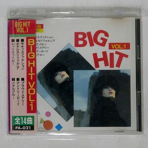 VA/BIG HIT VOL.1/PAL CO.,LTD PA021 CD □