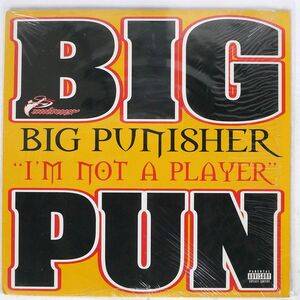 米 BIG PUNISHER/I’M NOT A PLAYER/LOUD 07863649091 12