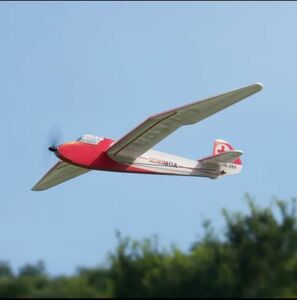 【新品】Minimoa Glider ガルウィング 700mm マイクロ RC 　モーター付き