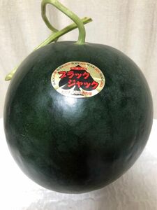 農家直送 ！熊本植木スイカ 『ブラックジャック』L2玉専用ページ