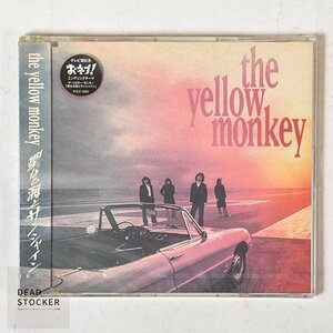 【希少！新品未使用】CD THE YELLOW MONKEY ｜聖なる海とサンシャイン デッドストック