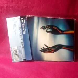 CD 月世界 BUCK-TICK 櫻井敦司 FISH TANK 会報 バクチク現象 異空 トレカ 雑誌 愛の惑星 スブロサ