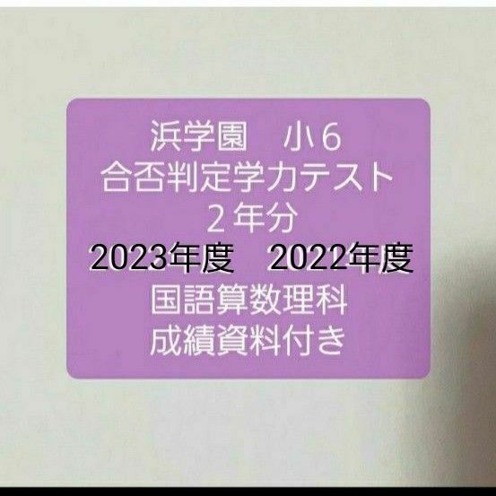 浜学園　小６ 成績資料付き　合否判定学力テスト　国語算数理科　２年分　2023年度　2022年度　未記入