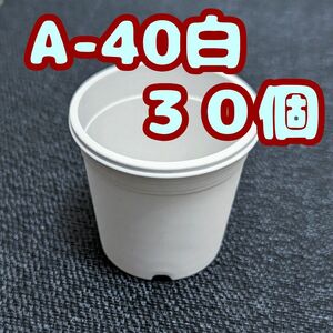 プラ鉢【A-40】30個 スリット鉢 丸 プレステラ 多肉植物