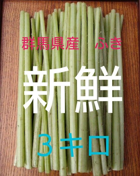 農家直送!!■群馬県産■彡新鮮彡ふき3キロ!!