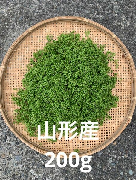 山形県産 山椒の実 　200g