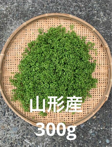 山形県産 山椒の実 　300g