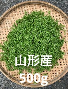 山形県産 山椒の実 500g