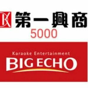 第一興商　ビッグエコー　5000