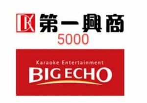 第一興商　ビッグエコー　5000