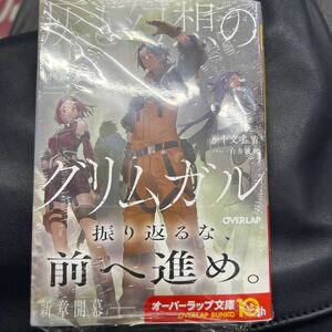 灰と幻想のグリムガル level.21 光と闇を切り裂いて征け