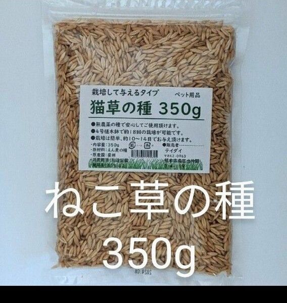 【17回分】猫草の種350g 食べられる草の種 農薬不使用 ペットの健康 エン麦