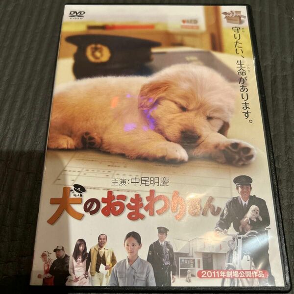 レアDVD 犬のおまわりさん DVD 中尾明慶　ゴールデンレトリバー
