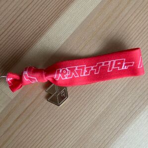 BUMP OF CHICKEN パスファインダー バンド